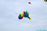 RIMINI 2012 - 007
